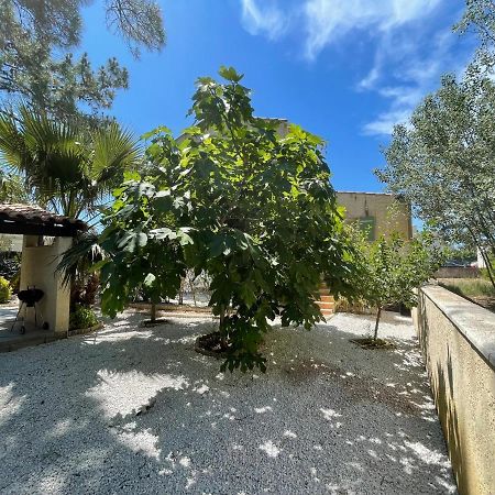 Marseillan Plage Joli T2 Kültér fotó